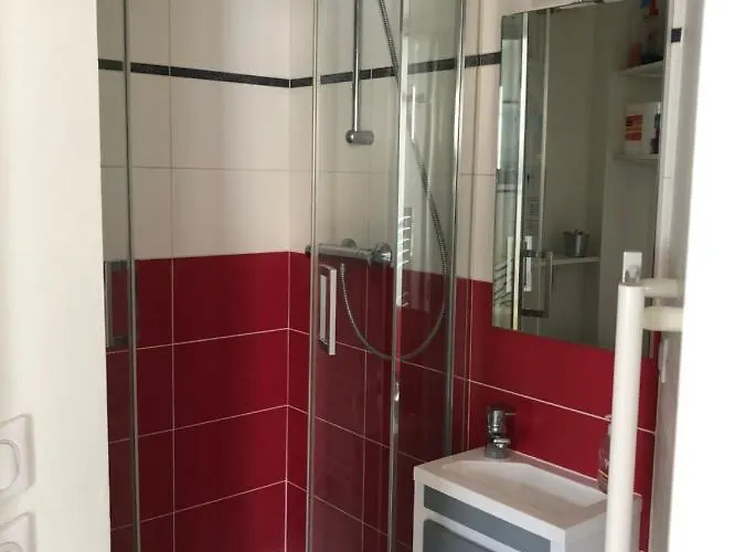 2 Pieces- Rue Pietonne -le Petit Juliana 公寓 *