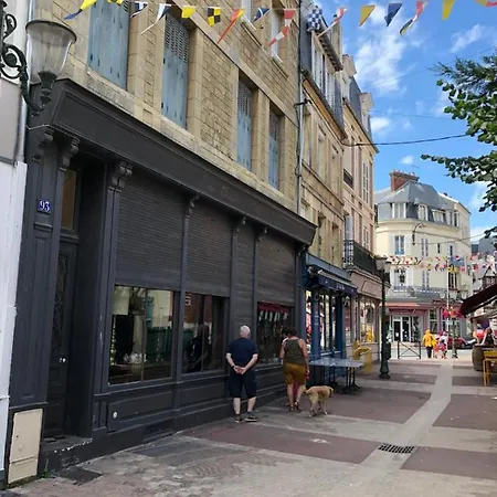 2 Pieces- Rue Pietonne -le Petit Juliana アパート