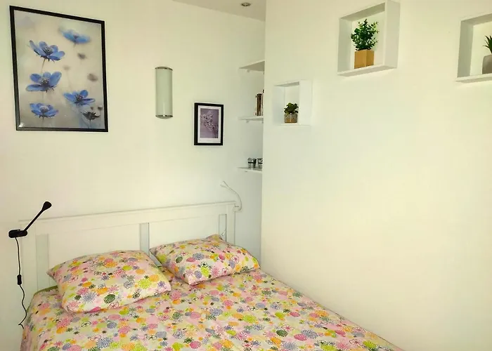 2 Pieces- Rue Pietonne -le Petit Juliana Apartment *